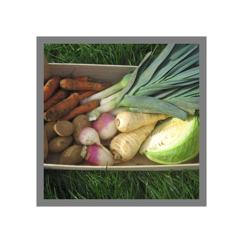 Panier pot au feu